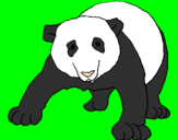 Disegno Orso panda  pitturato su titti 00