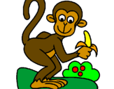 Disegno Scimmietta  pitturato su scimmia