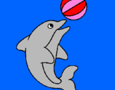 Disegno Delfino con una palla  pitturato su ELE BB