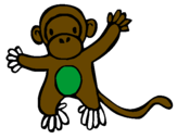 Disegno Scimmietta pitturato su federico