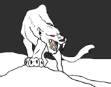 Disegno Tigre con affilati canini  pitturato su SIMO
