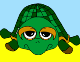 Disegno Tartaruga pitturato su tartaruga