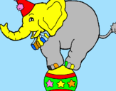 Disegno Elefante sulla palla  pitturato su danila