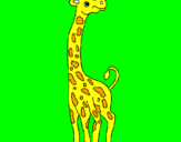 Disegno Giraffa  pitturato su chiara c2