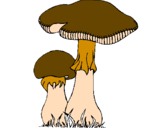 Disegno Funghi pitturato su titty