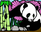 Disegno Orso panda con bambù  pitturato su Giuseppe
