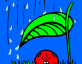 Disegno Coccinella protetta dalla pioggia  pitturato su FEDERICO