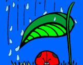Disegno Coccinella protetta dalla pioggia  pitturato su chiara c2