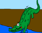 Disegno Alligatore che entra nell'acqua  pitturato su EDUARDO CUOMO