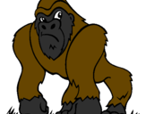 Disegno Gorilla pitturato su army