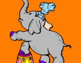 Disegno Elefante  pitturato su SILVIA  ANGELA