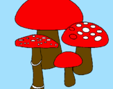 Disegno Funghi pitturato su Giulia