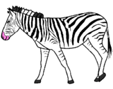 Disegno Zebra  pitturato su zebre