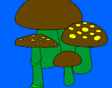 Disegno Funghi pitturato su Roby e Ricky