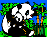 Disegno Mamma panda  pitturato su Rebecca