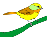 Disegno Uccellino  pitturato su gigi