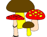 Disegno Funghi pitturato su susy