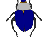 Disegno Scarabeo  pitturato su scarabeo
