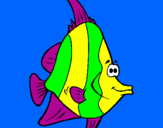 Disegno Pesce tropicale  pitturato su donatella