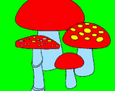 Disegno Funghi pitturato su carola