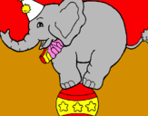 Disegno Elefante sulla palla  pitturato su filippo       violante