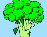 Disegno Broccoli  pitturato su michelangelo