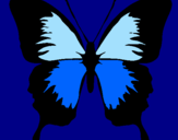 Disegno Farfalla con le ali nere pitturato su giugy vatussa99