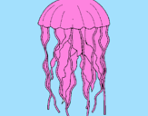 Disegno Medusa  pitturato su teresa