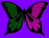 Disegno Farfalla pitturato su carlotta