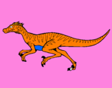 Disegno Velociraptor  pitturato su terry scic