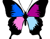 Disegno Farfalla con le ali nere pitturato su colori
