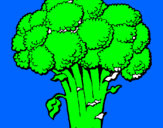 Disegno Broccoli  pitturato su vincenzo