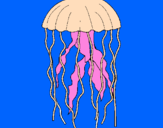 Disegno Medusa  pitturato su teresa
