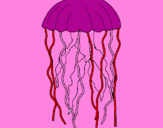 Disegno Medusa  pitturato su ALESSIA5