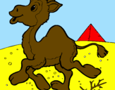Disegno Cammello pitturato su cammello che corre