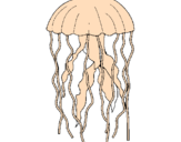 Disegno Medusa  pitturato su nave