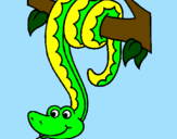 Disegno Serpente avvinghiata ad un albero  pitturato su fede