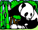 Disegno Orso panda con bambù  pitturato su  lollo