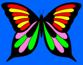 Disegno Farfalla pitturato su ISABELLA