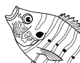 Disegno Pesce  pitturato su pesceee