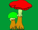 Disegno Funghi pitturato su ANDREA R