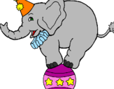 Disegno Elefante sulla palla  pitturato su giadamalizia