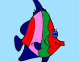 Disegno Pesce tropicale  pitturato su alicya