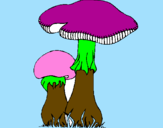 Disegno Funghi pitturato su elena rossetti