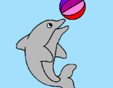 Disegno Delfino con una palla  pitturato su STELLINA