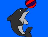 Disegno Delfino con una palla  pitturato su harman