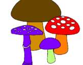 Disegno Funghi pitturato su Alice