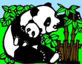 Disegno Mamma panda  pitturato su teresa