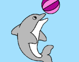 Disegno Delfino con una palla  pitturato su Taqa