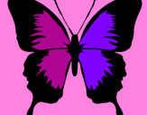 Disegno Farfalla con le ali nere pitturato su Sara